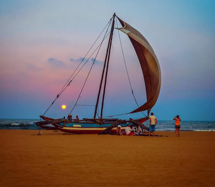 Guest house Breezy Villa Negombo
